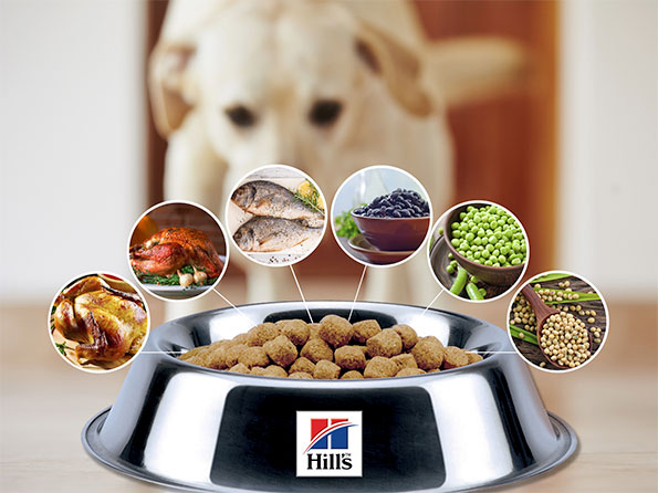 Hill's pet food contains a variety of flavors, many of which are depicted here.